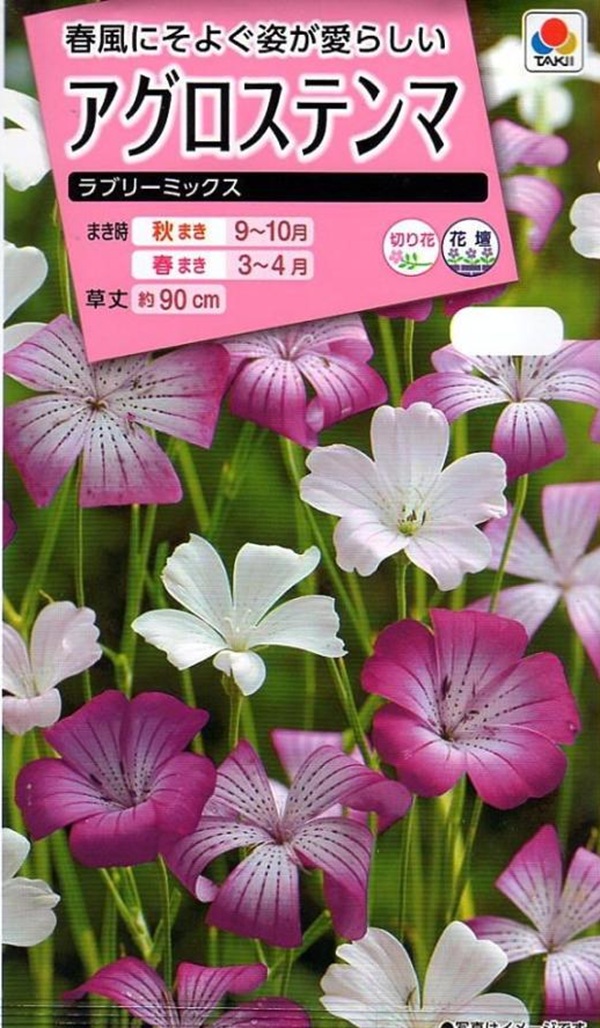 アグロステンマ ラブリーミックス
