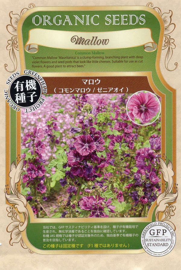 マロウ　コモンマロウ