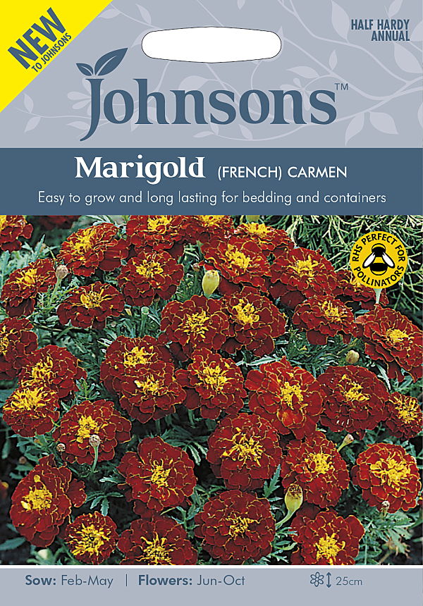 マリーゴールド （フレンチ） カルメン