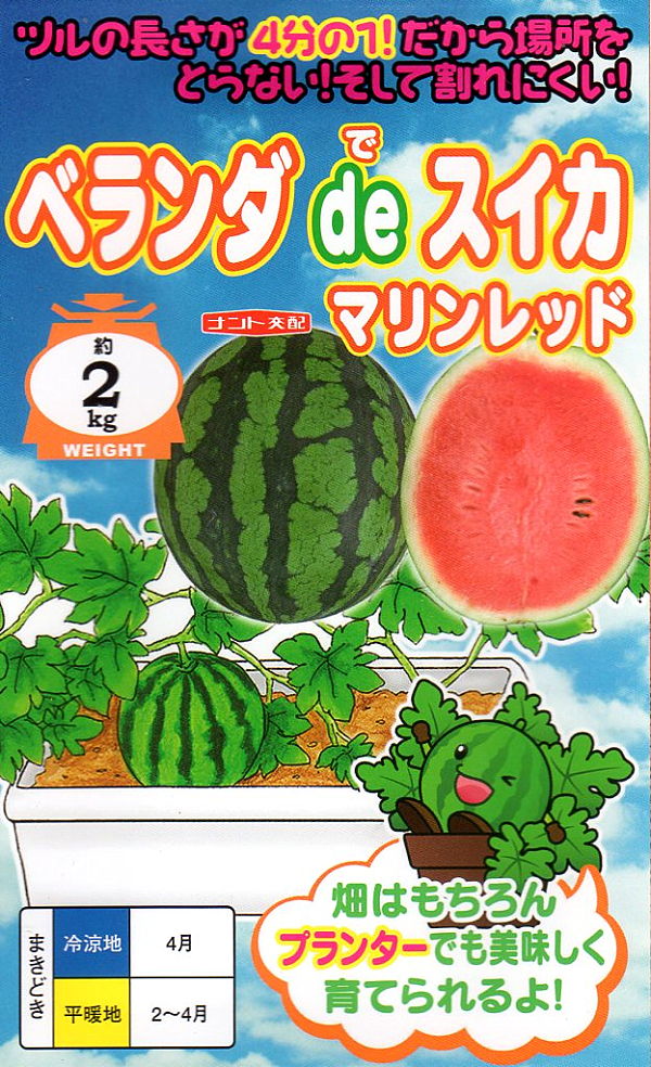 ベランダdeスイカ マリンレッド