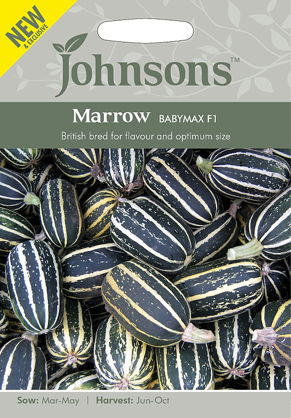 マロー・ベイビーマックス・F1