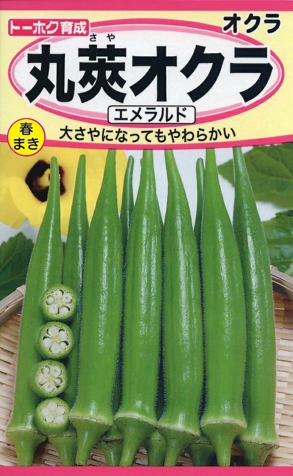 丸莢オクラエメラルド