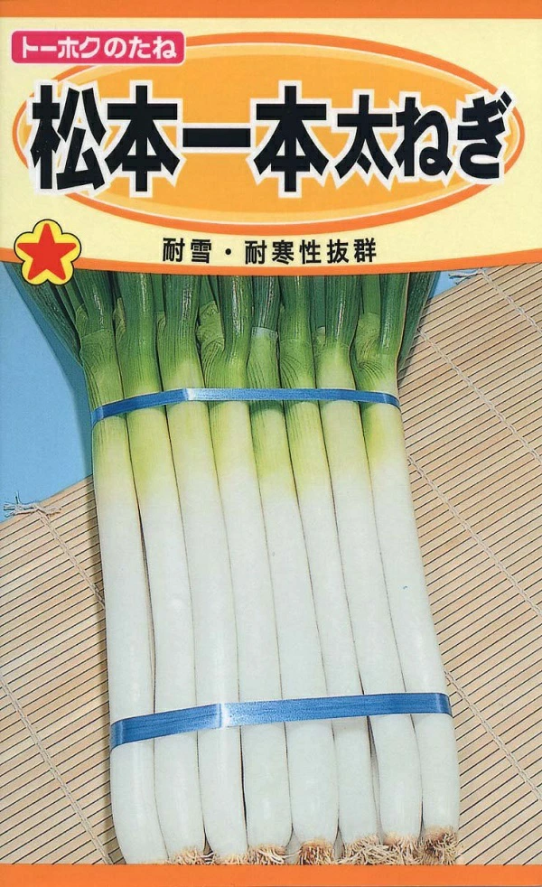 松本一本太ねぎ