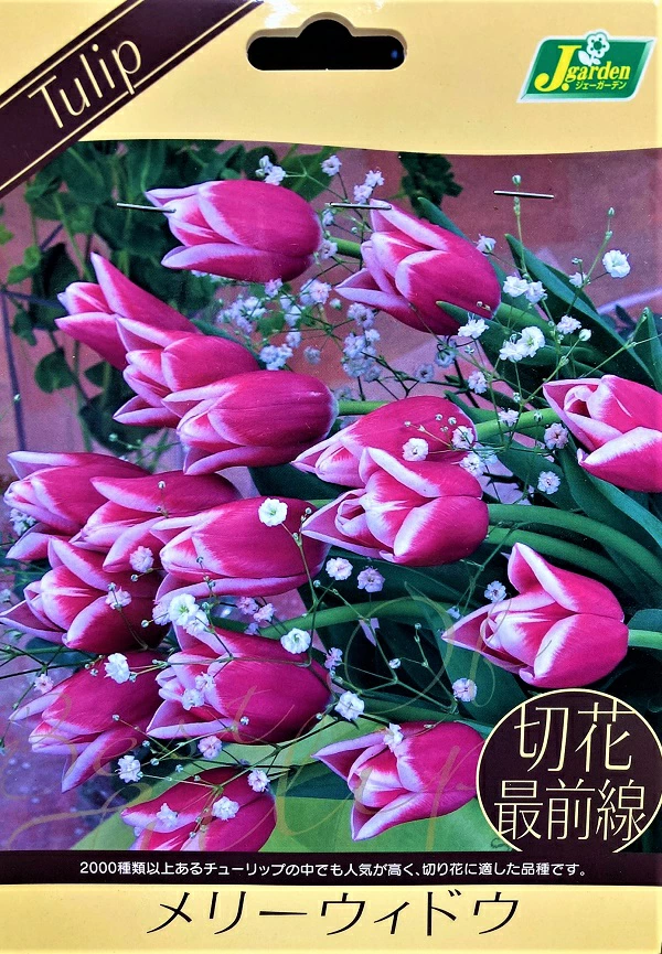 切花最前線メリーウィンドウ