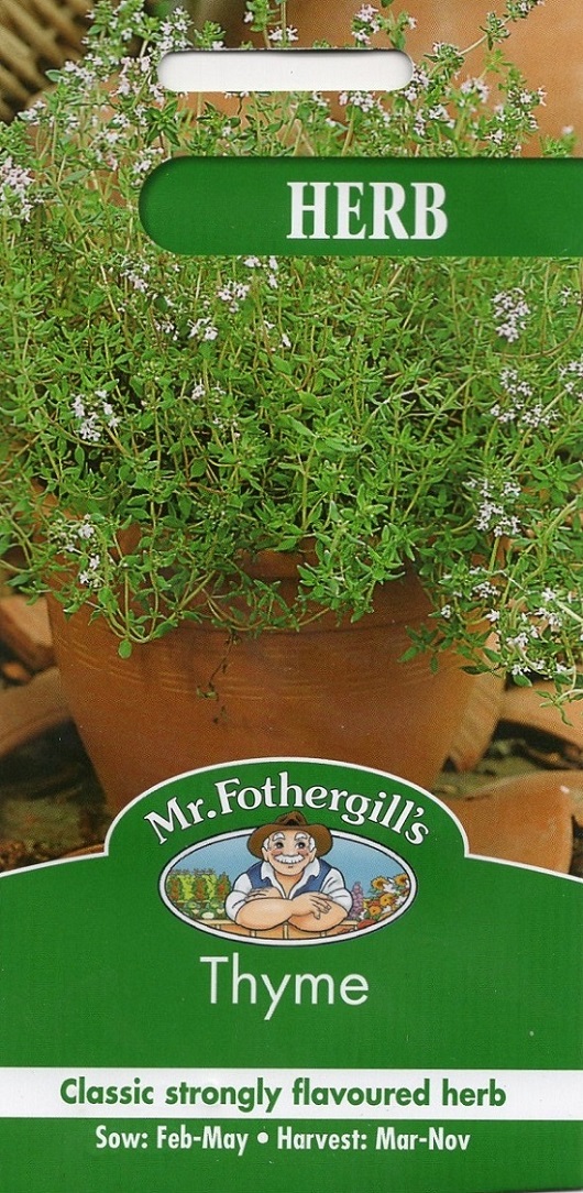 HERB Thyme ハーブ タイム