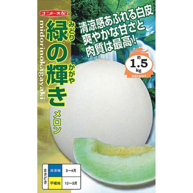 メロン　緑の輝き