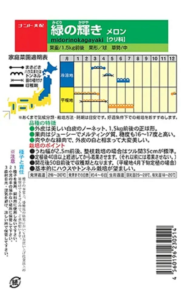 メロン　緑の輝き