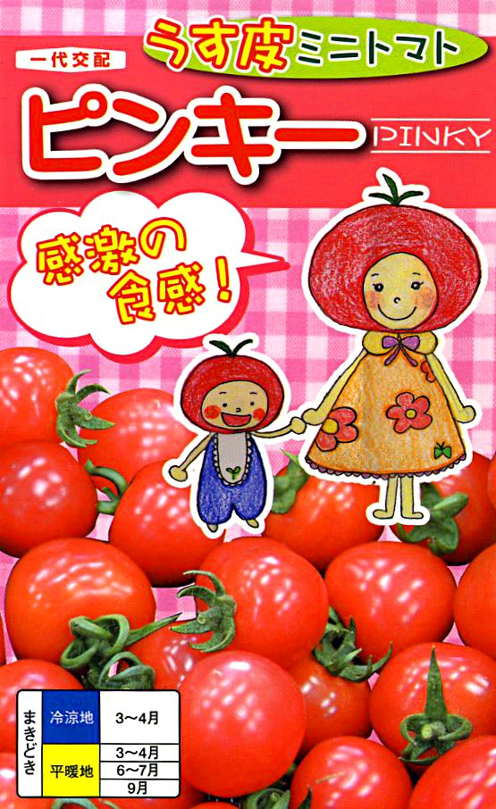 ミニトマト　ピンキー