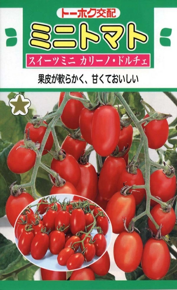 ミニトマト スイーツミニ カリーノ・ドルチェ