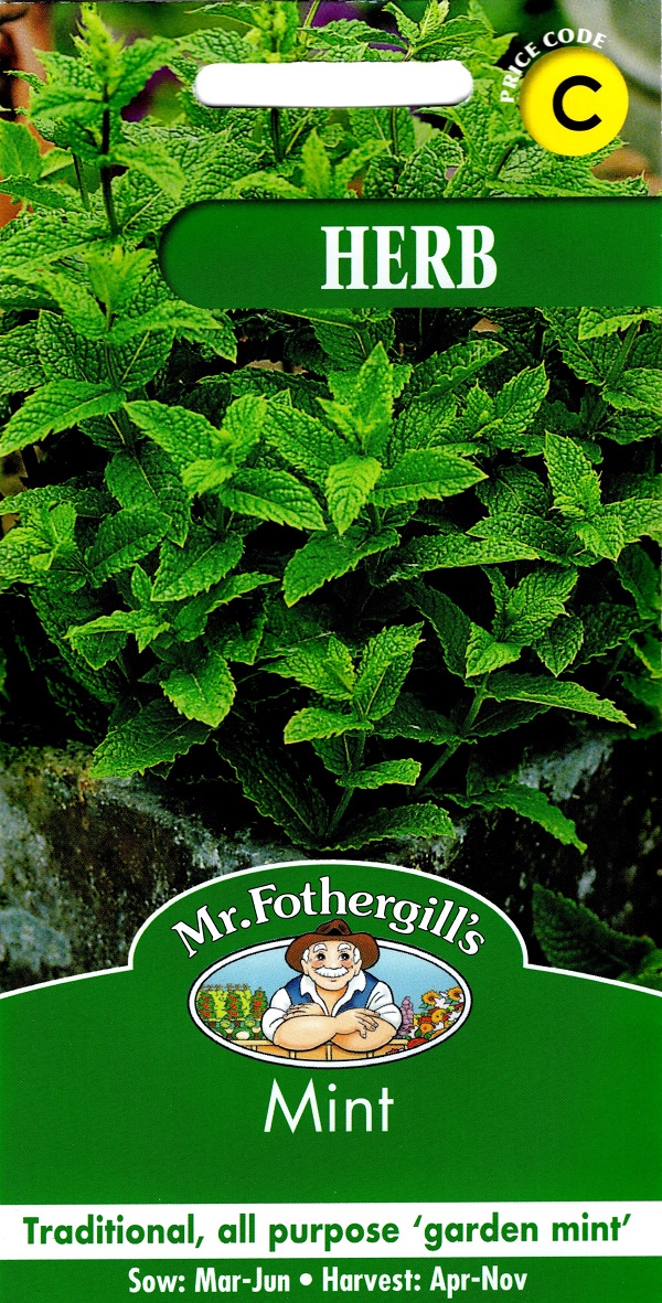 HERB Mint ハーブ ミント