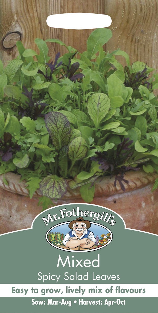 ミックス スパイシー サラダ リーブス