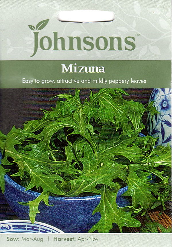 Mizuna　ミズナ（水菜）