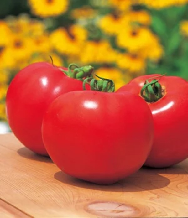 非売品 タキイ タキットくん 桃太郎トマト ぬいぐるみ 2025年最新】タキットくんの人気アイテム - メルカリ