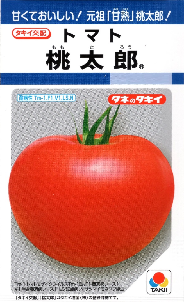 トマト　桃太郎