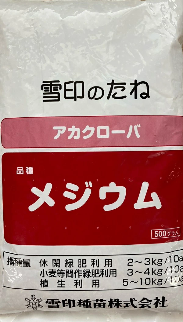 アカクローバーメジウム