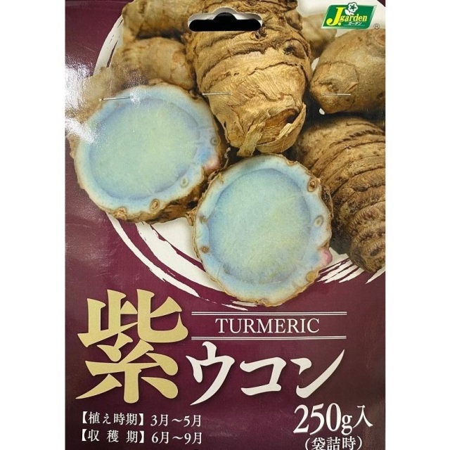 紫ウコン500