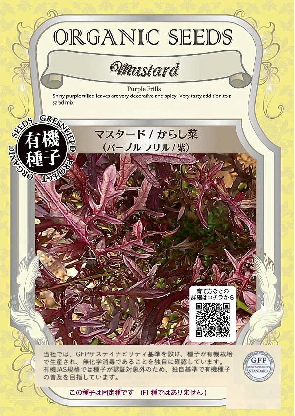 マスタード　パープルフリル