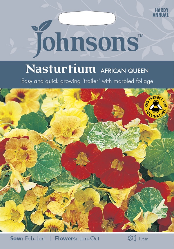 nasturtium africanqueen