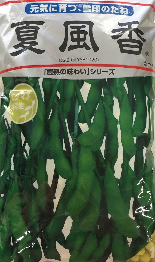 夏風香 1L