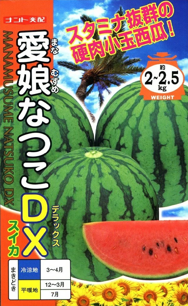 スイカ　愛娘なつこDX