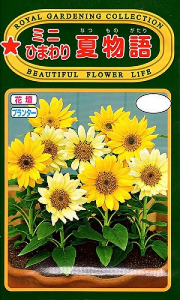 夏物語