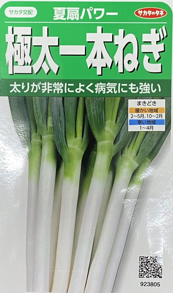 極太一本ねぎ 夏扇パワー