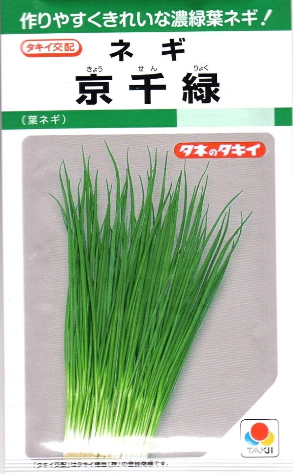 京千緑