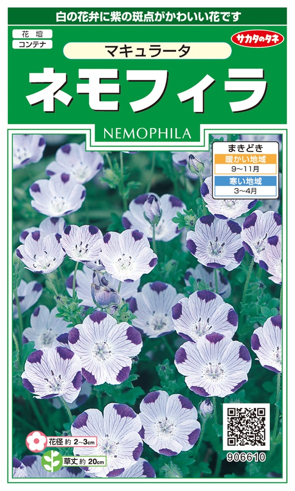 ネモフィラ Nemophila Gardener's Shop Ivy
