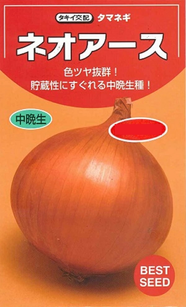 ネオアース