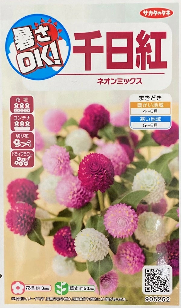 千日紅　ネオンミックス