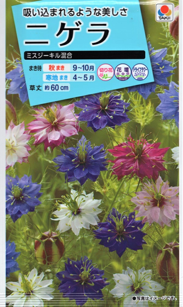 ニゲラ　ミスジーキル混合