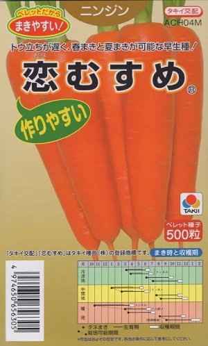 恋むすめ