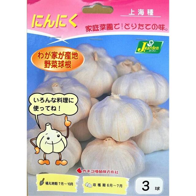 にんにく上海種