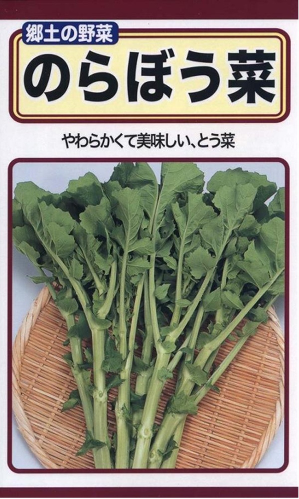 のらぼう菜