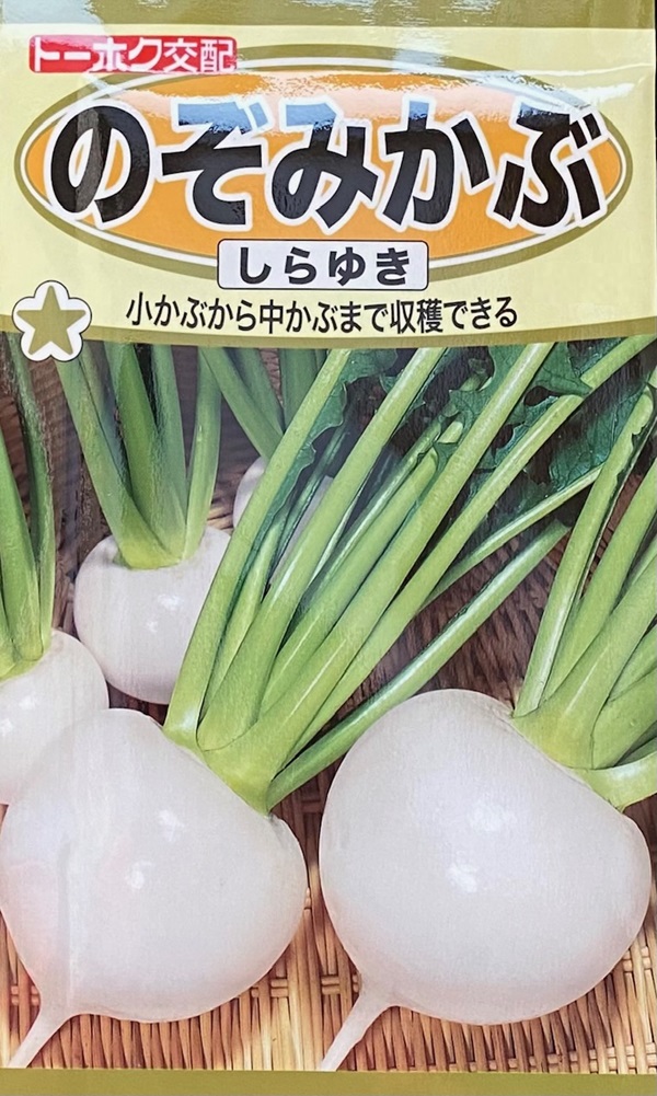 のぞみかぶ