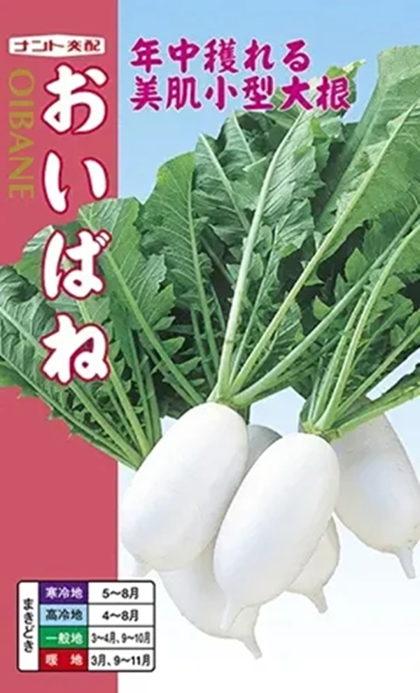 oibane