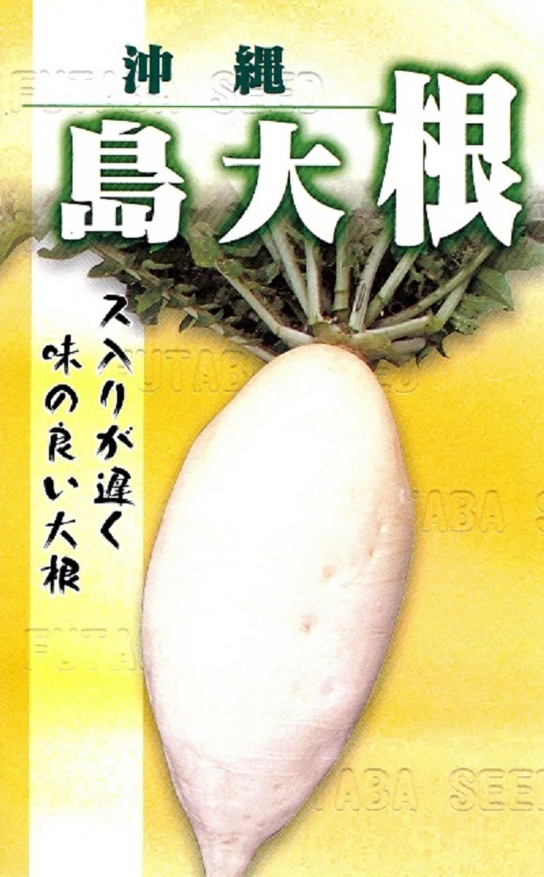 沖縄　島大根