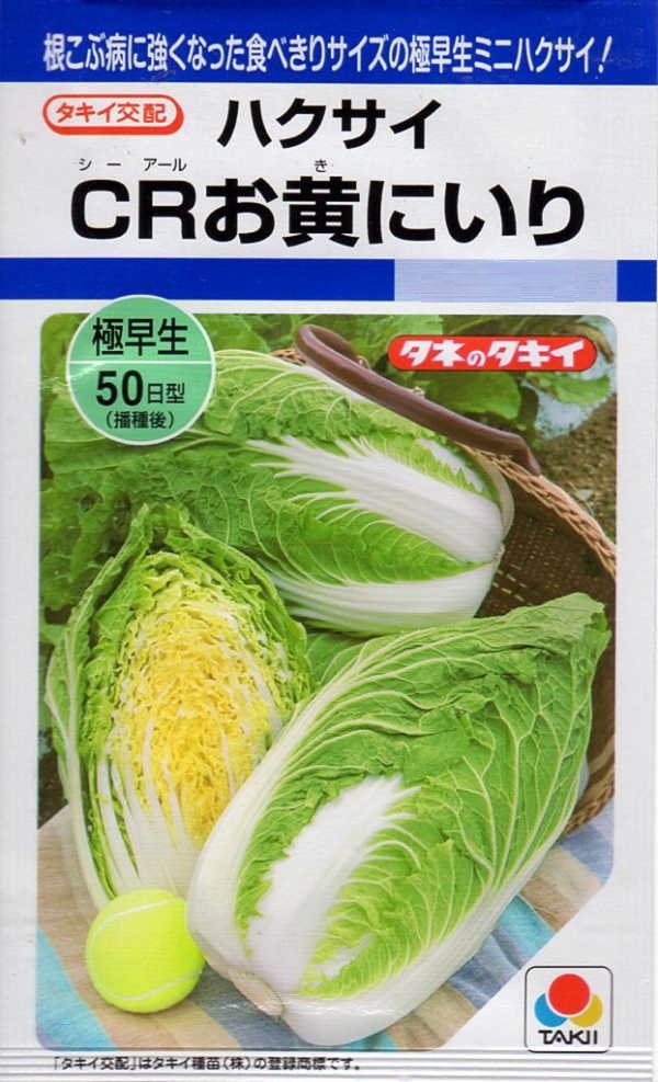 ハクサイCRお黄にいり