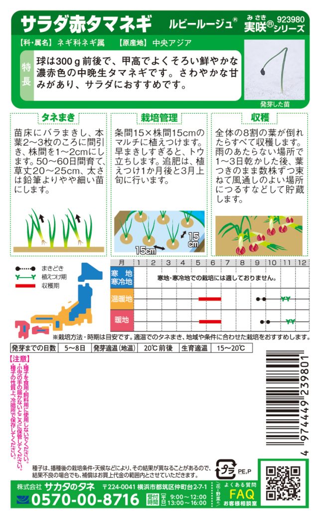 サラダ赤タマネギルビールージュ