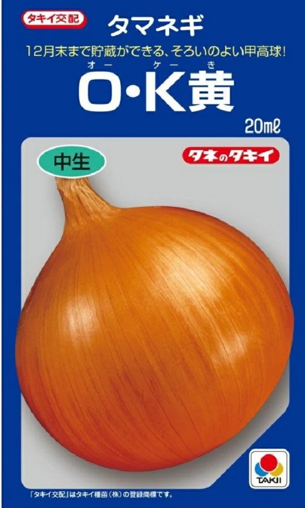 タマネギ　OK黄