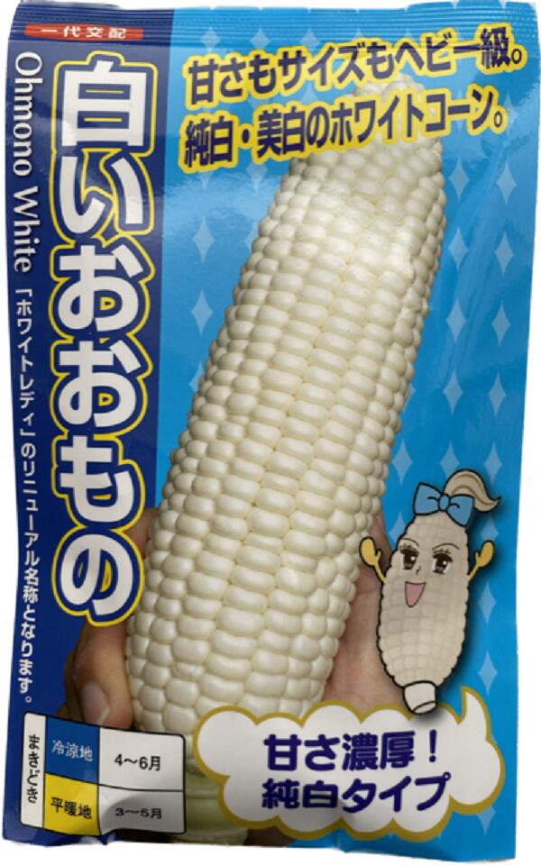 スイートコーン 白いおおもの 小袋