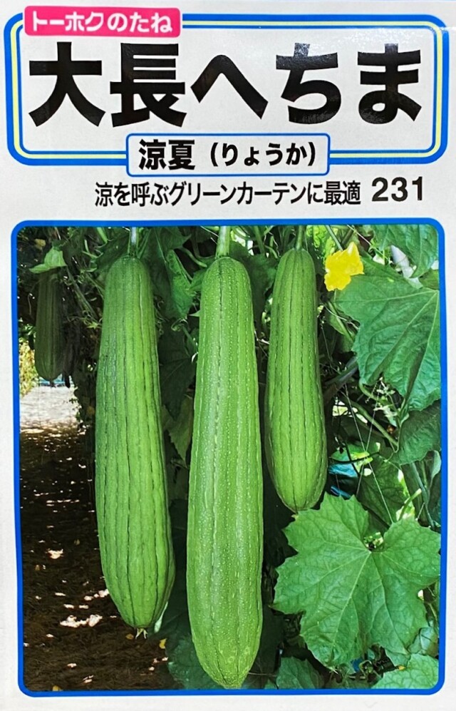 大長へちま 涼夏(りょうか)