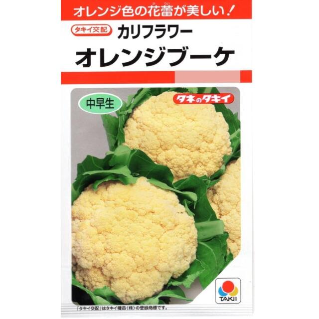 オレンジブーケ