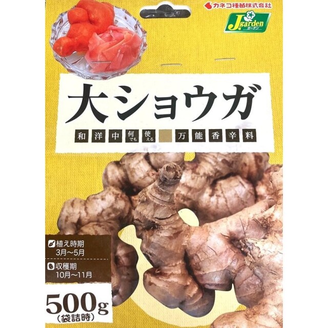 大生姜