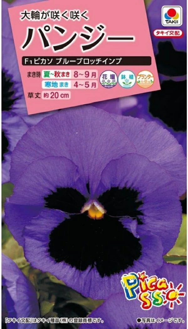 パンジー　ブルーブロッチインプ