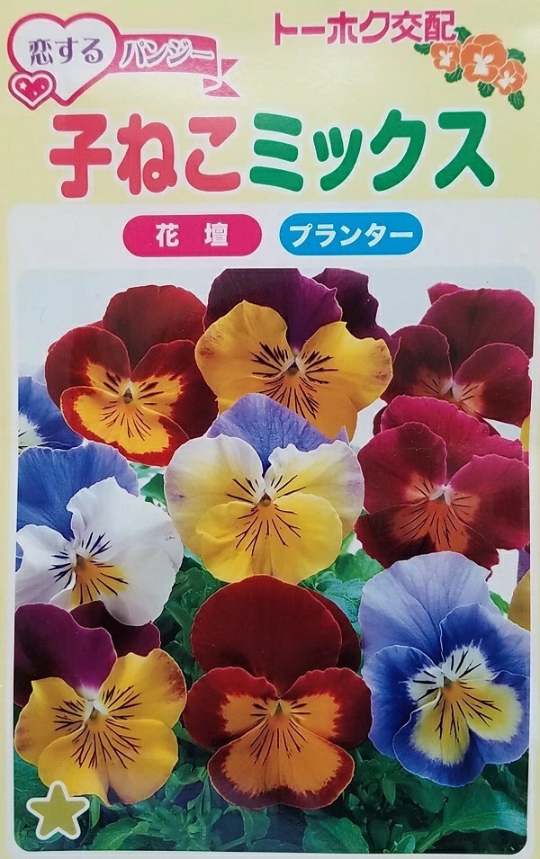 パンジー　子ねこミックス