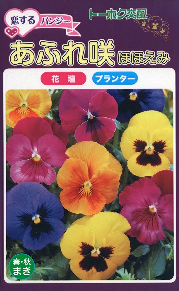 パンジー　ほほえみ