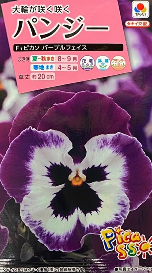 パンジー パープルフェイス