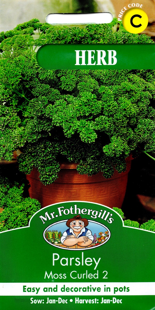 HERB Parsley Moss Curled 2 ハーブ パセリ・モス・カールド2