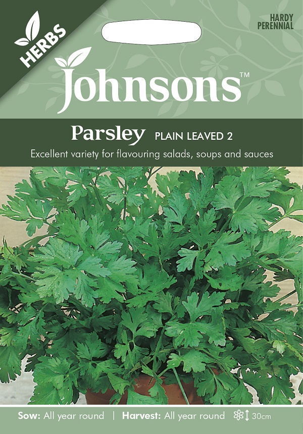HERBS Parsley PLAIN LEAVED 2 ハーブス パセリ・プレーン・リーブド2
